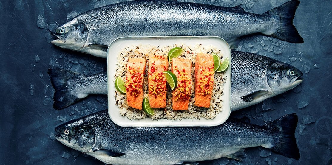 Norwegian Salmon with Tamari Soy Sauce, Chili and Ginger