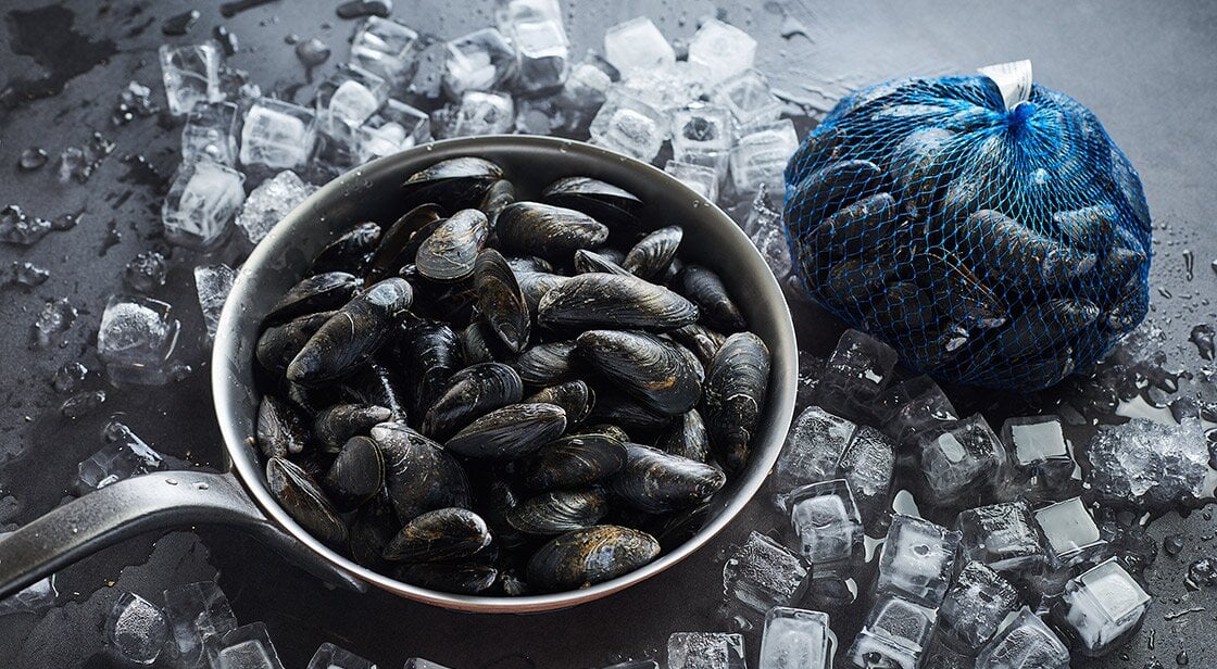 Blue mussel