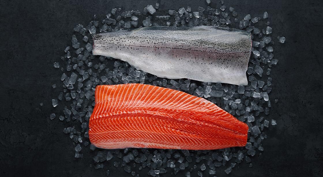Fjord trout