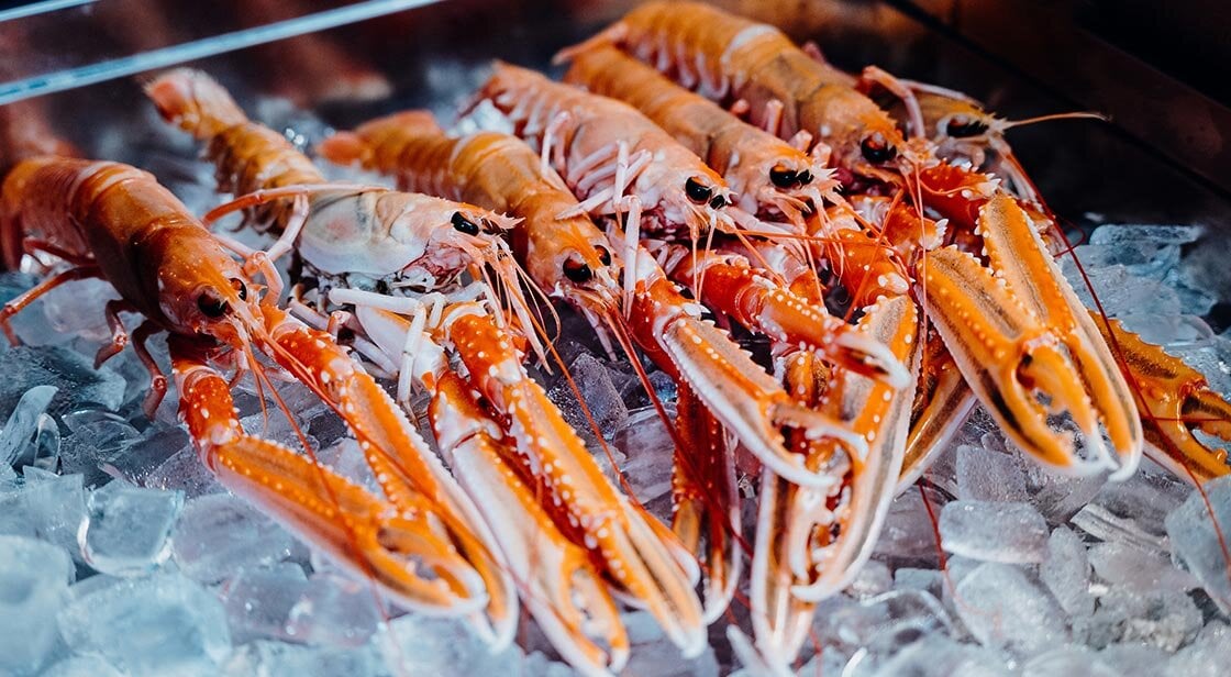 Norway lobster