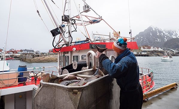 unloading the catch